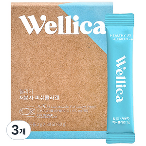 웰리카 저분자 피쉬 어린콜라겐 펩타이드 300달톤 이너뷰티, 3개, 60g