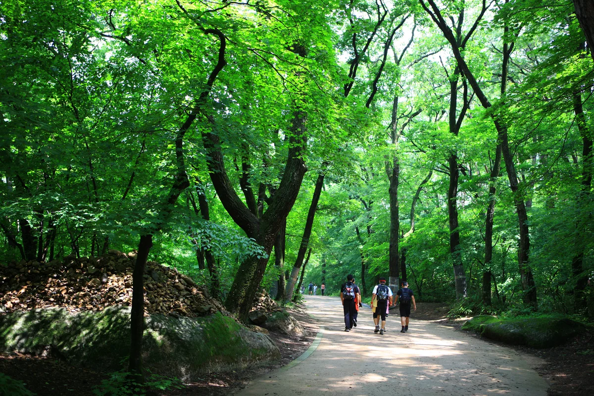 속리산 여행코스 추천 (출처 : 한국관광공사)