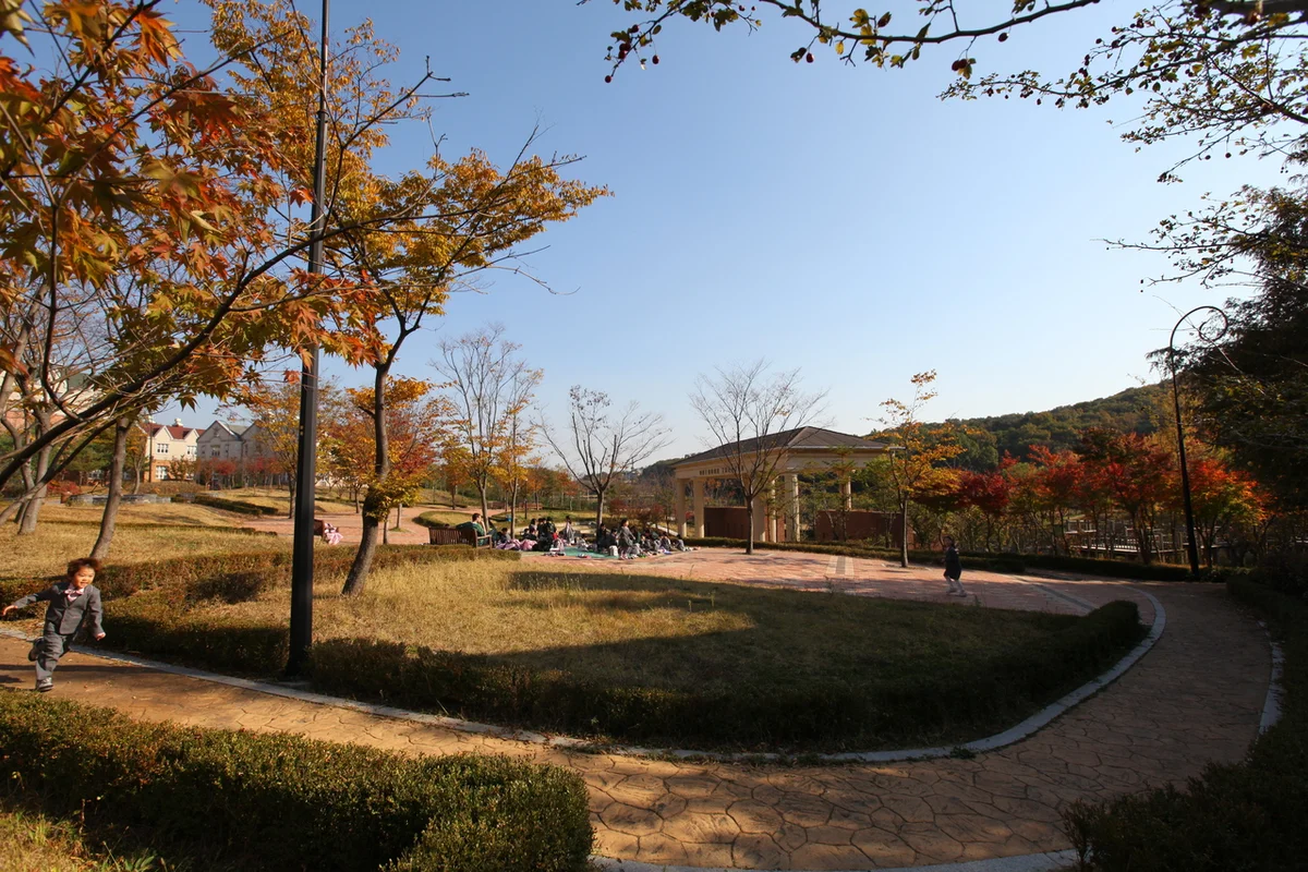 알파카월드 - 홍천군 여행