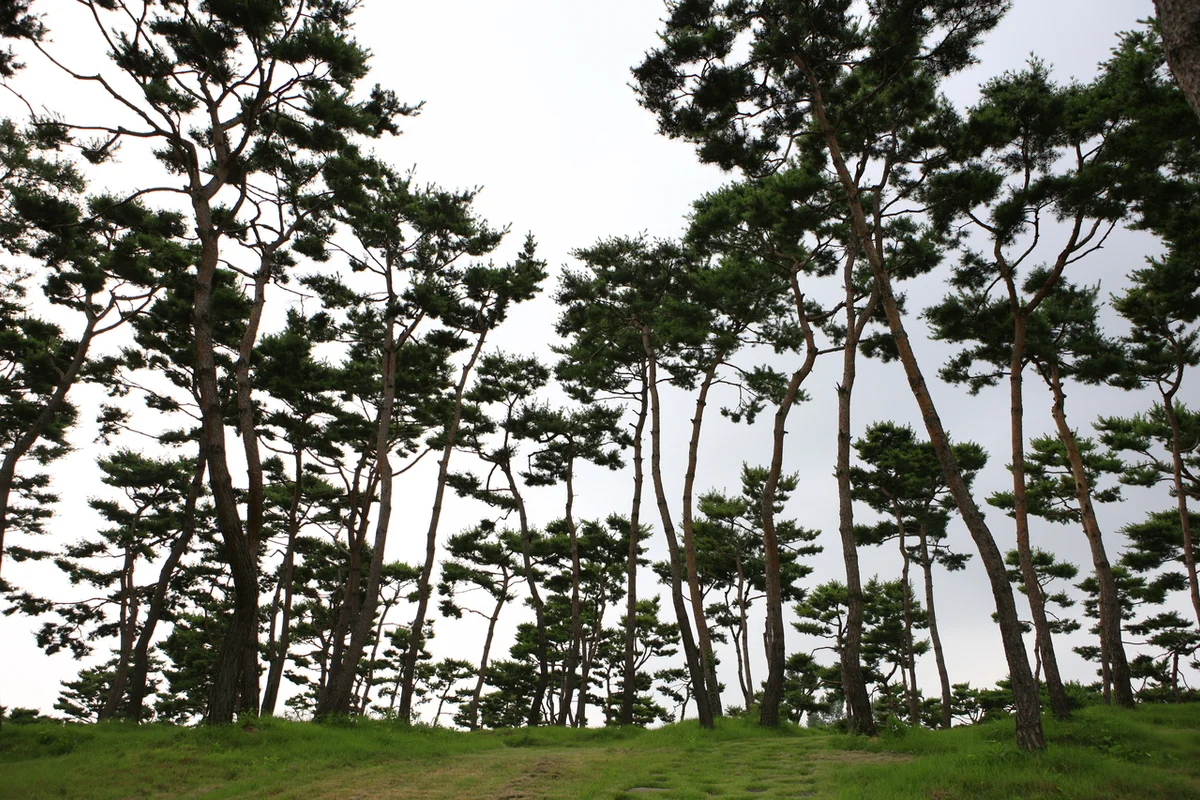 계백장군유적지 - 논산MTB 여행
