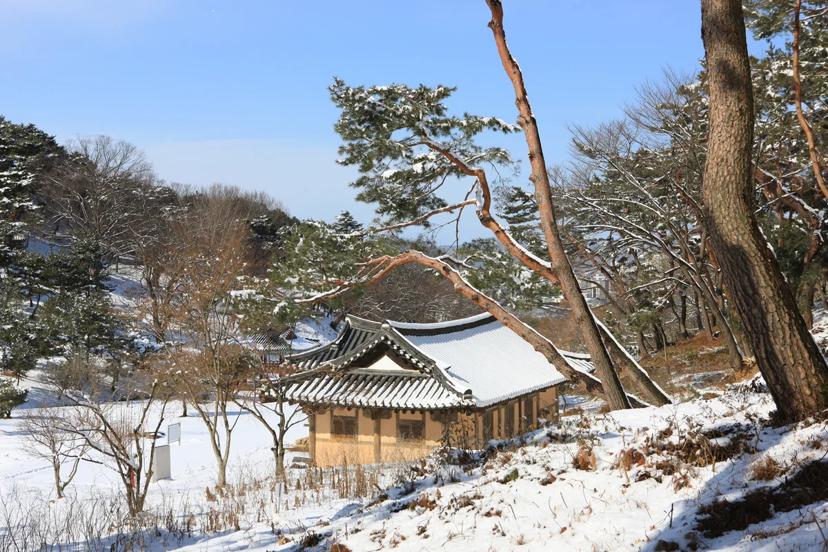 고창읍성산책로 - 고창읍성 여행