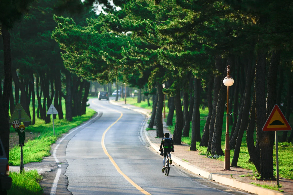 해운대블루라인파크 송정정거장 - 송정 캠핑 여행