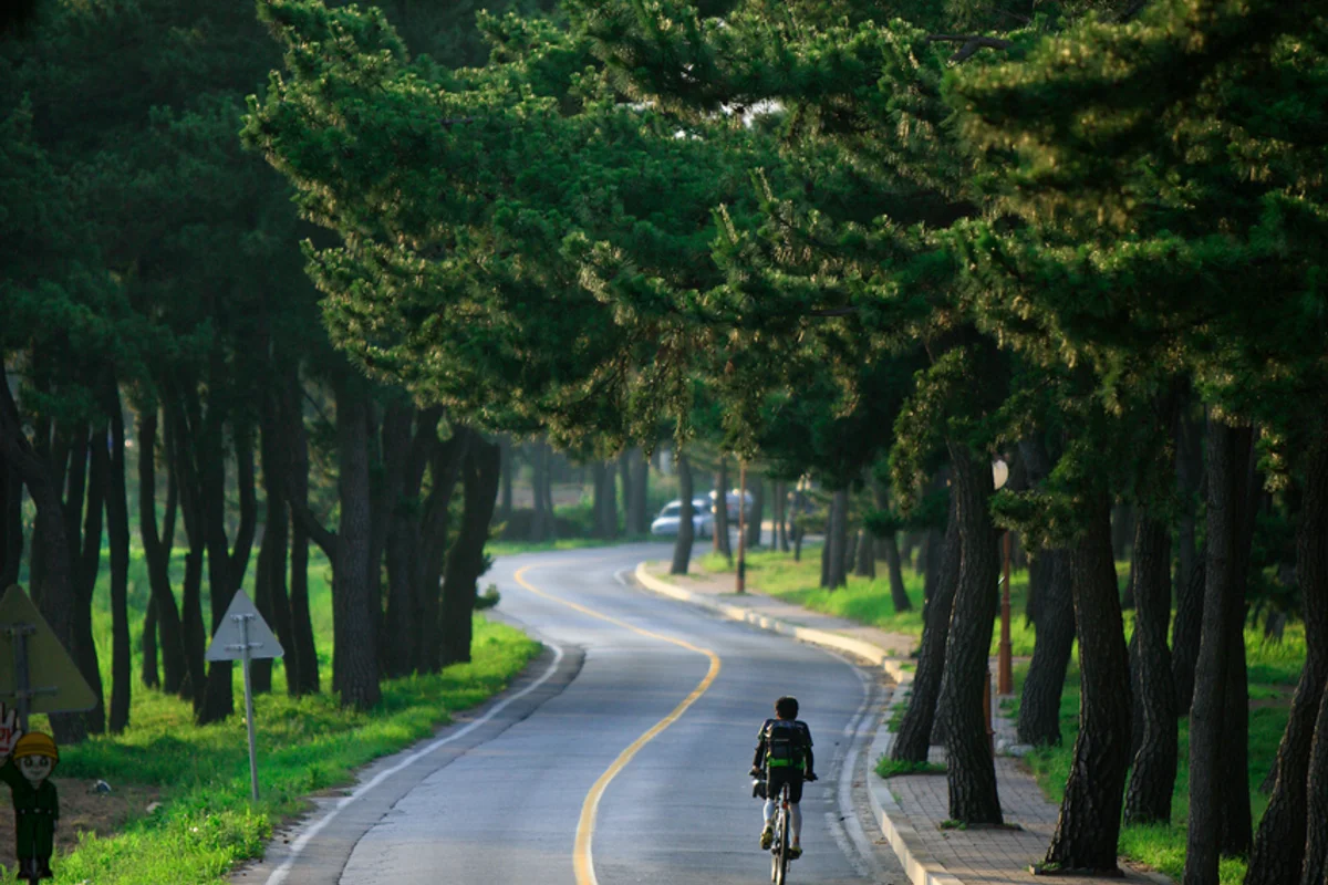 송정공원 - 송정 캠핑 여행