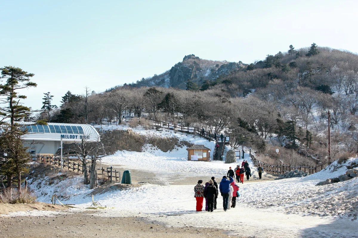 덕유산 자연휴양림 – 푸른 숲 속의 힐링 - 덕유산 여행