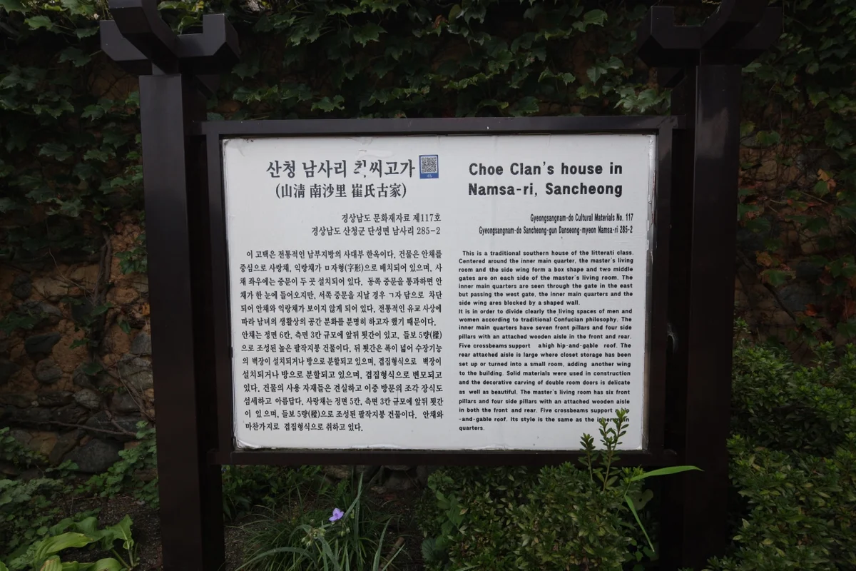산청 대명사 꽃잔디 - 산청군 여행