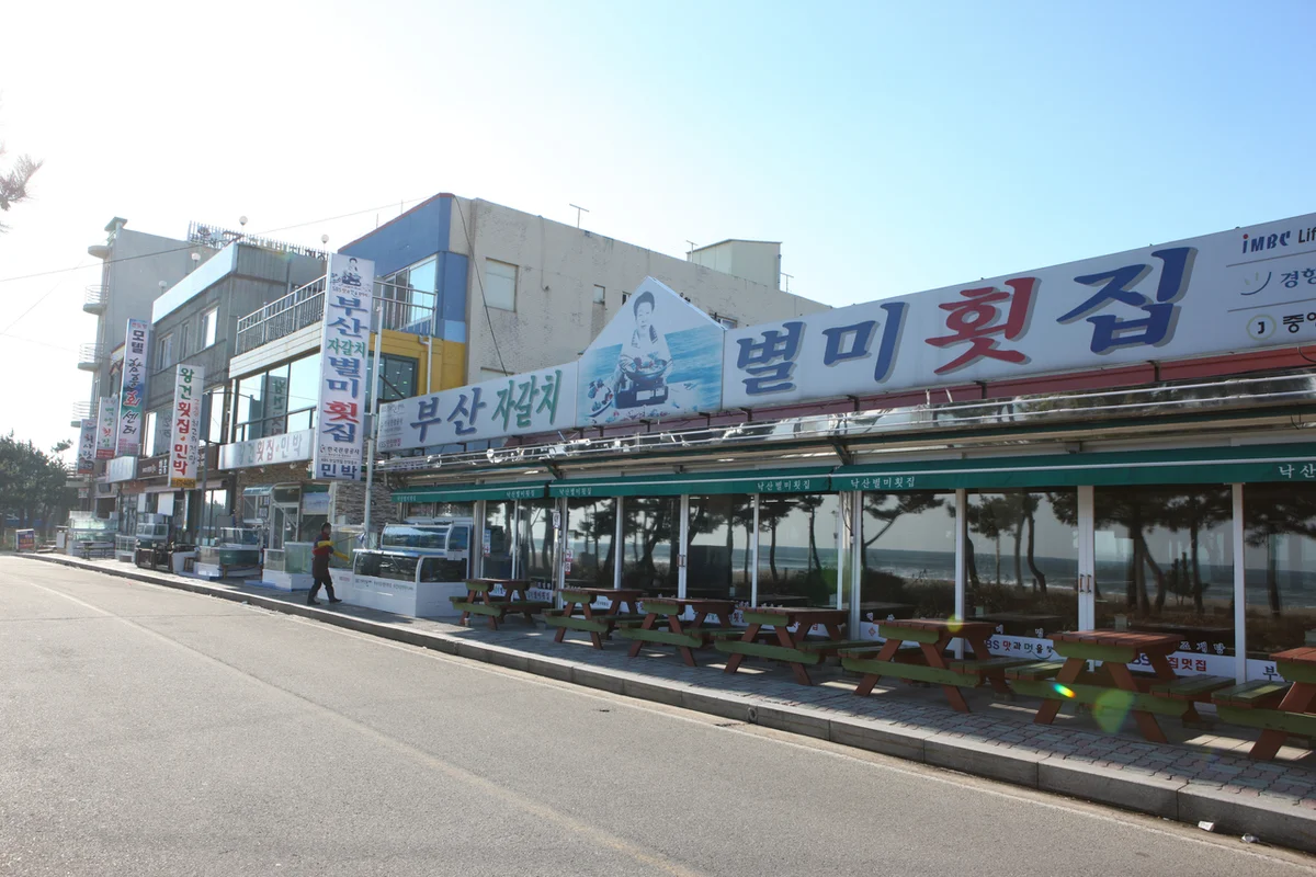 자갈치 혼자 여행: 부산자갈치시장 - 부산여행 여행