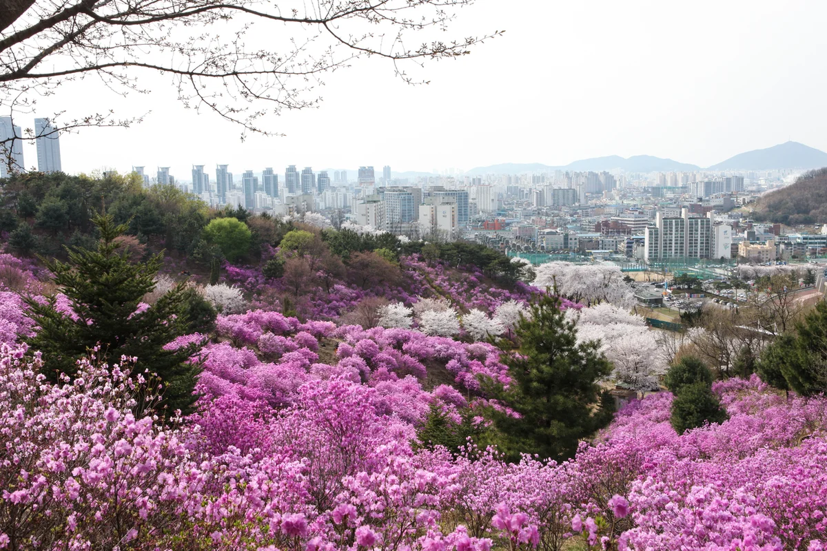 부천시립박물관 - 부천여행 여행