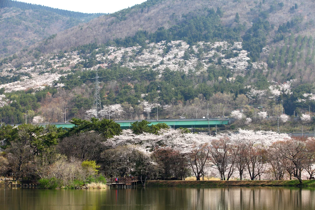 여좌천로망스다리 - 창원여행 여행