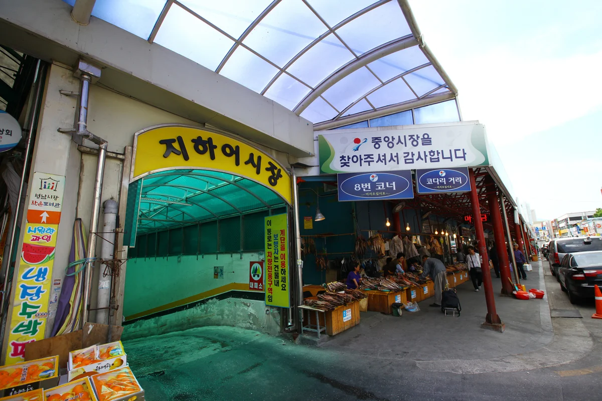 중앙시장 짚라인 - 중앙시장 여행