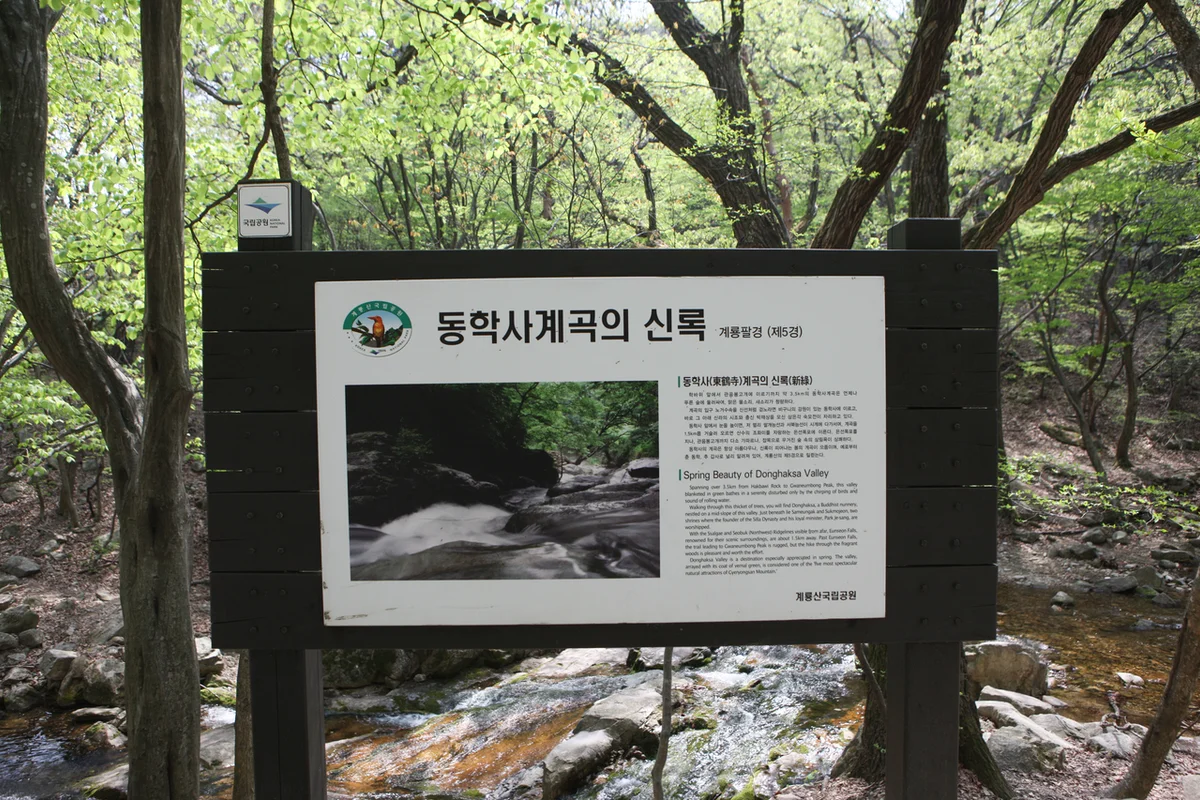 동학사 계곡 - 대전여행 여행