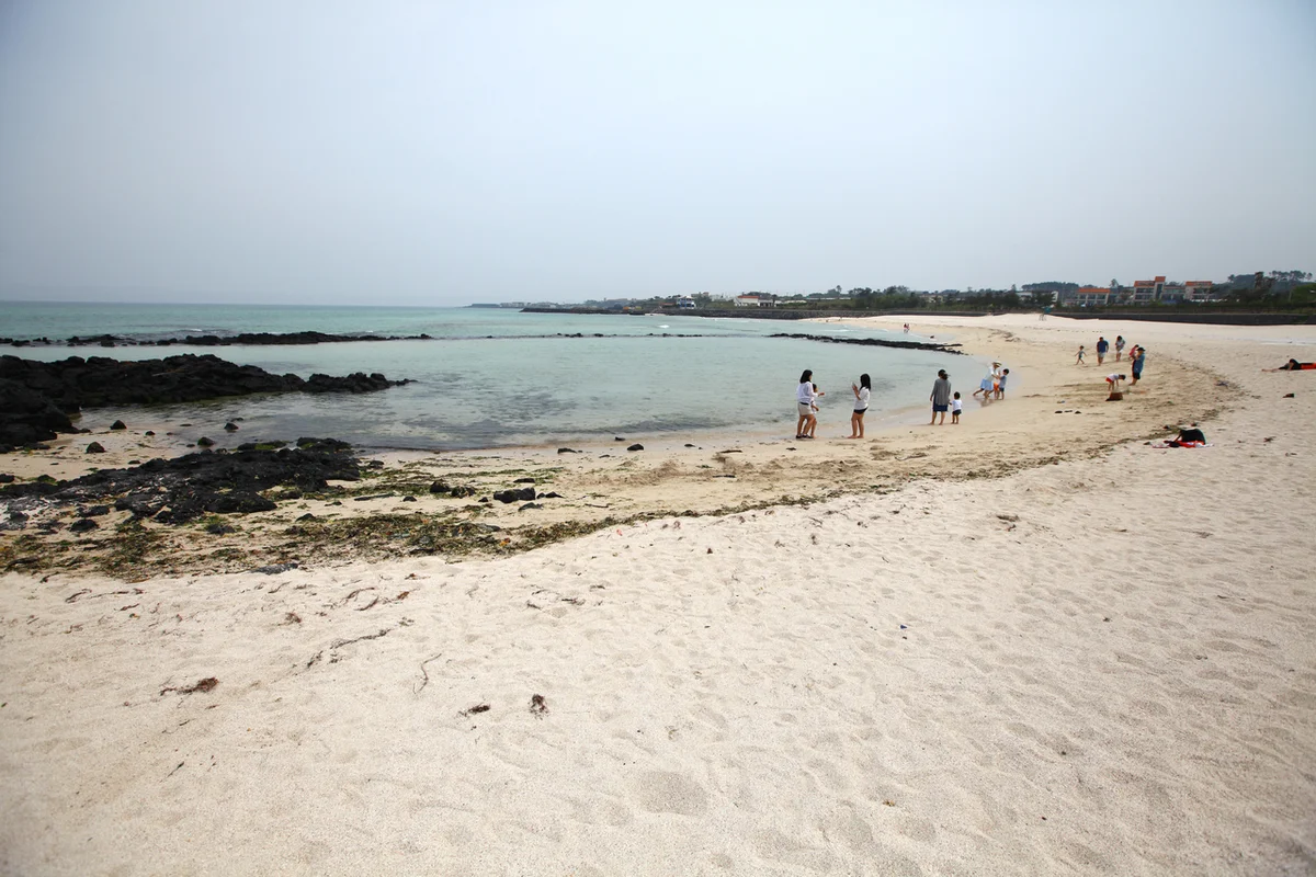 아르떼뮤지엄 제주 - 곽지데이트 여행