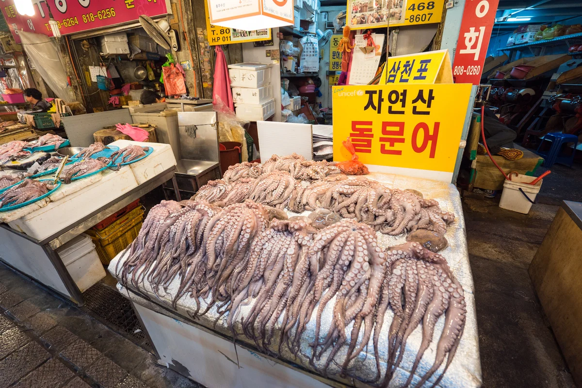 부전시장 가성비 숙소 (출처 : 한국관광공사)