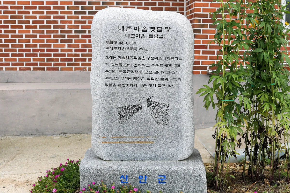임자도 1004섬 튤립·홍매화정원 - 신안 전시 여행