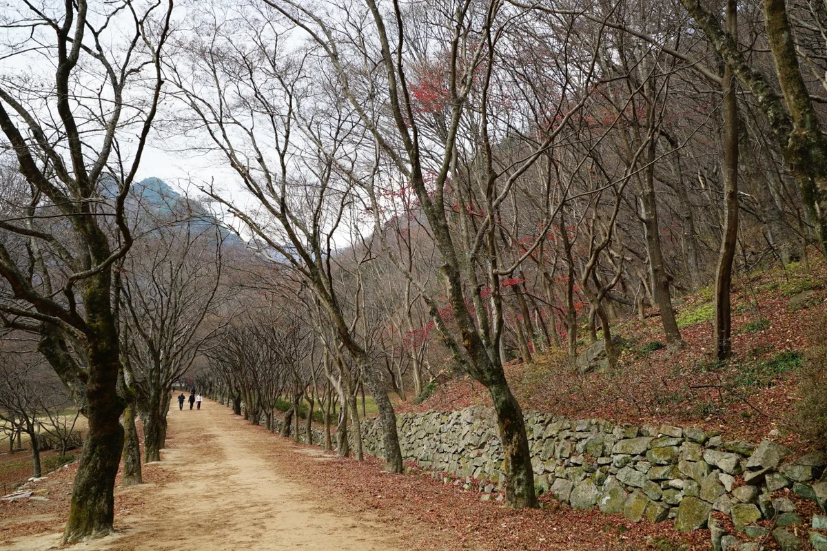 정읍시립박물관 - 정읍 여행 여행