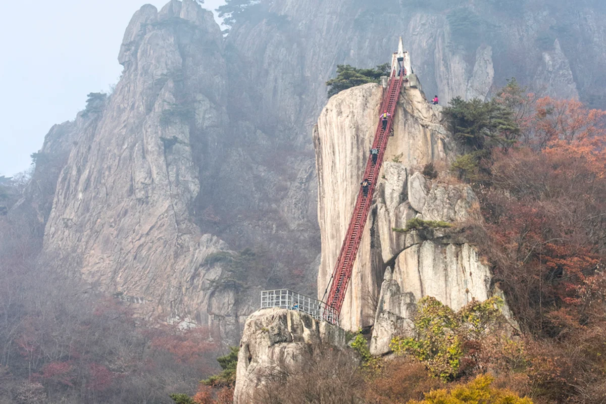 정부대전청사자연마당 - 둔산여행 여행