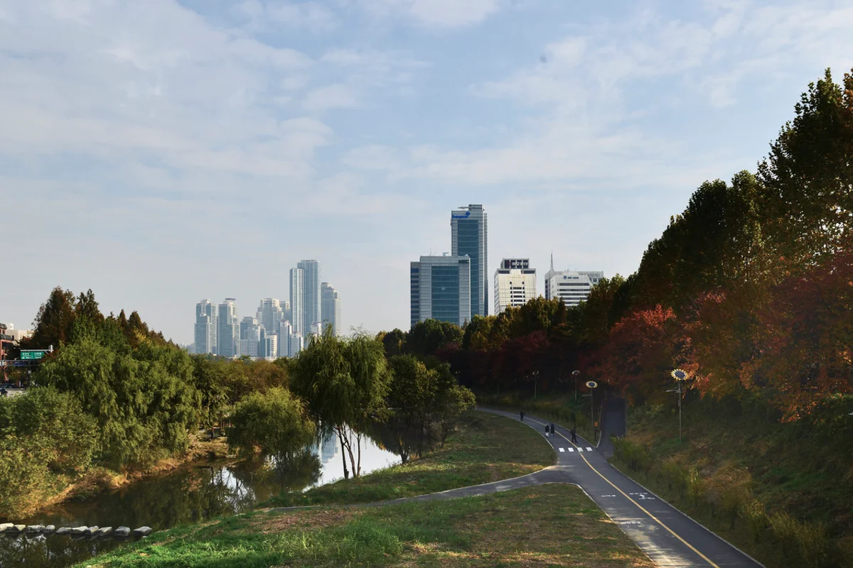 양재천 - 강남수상레저 여행