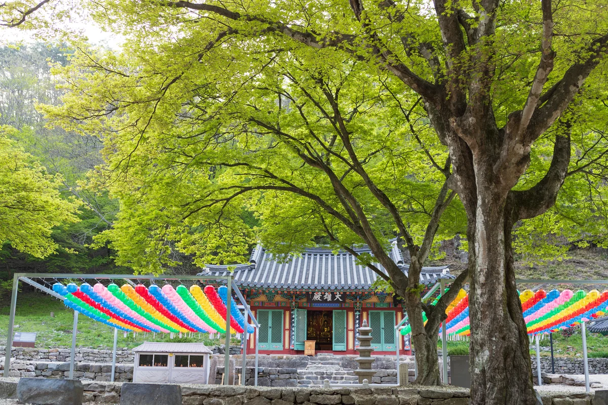 순창발효테마파크 - 순창 여행 여행