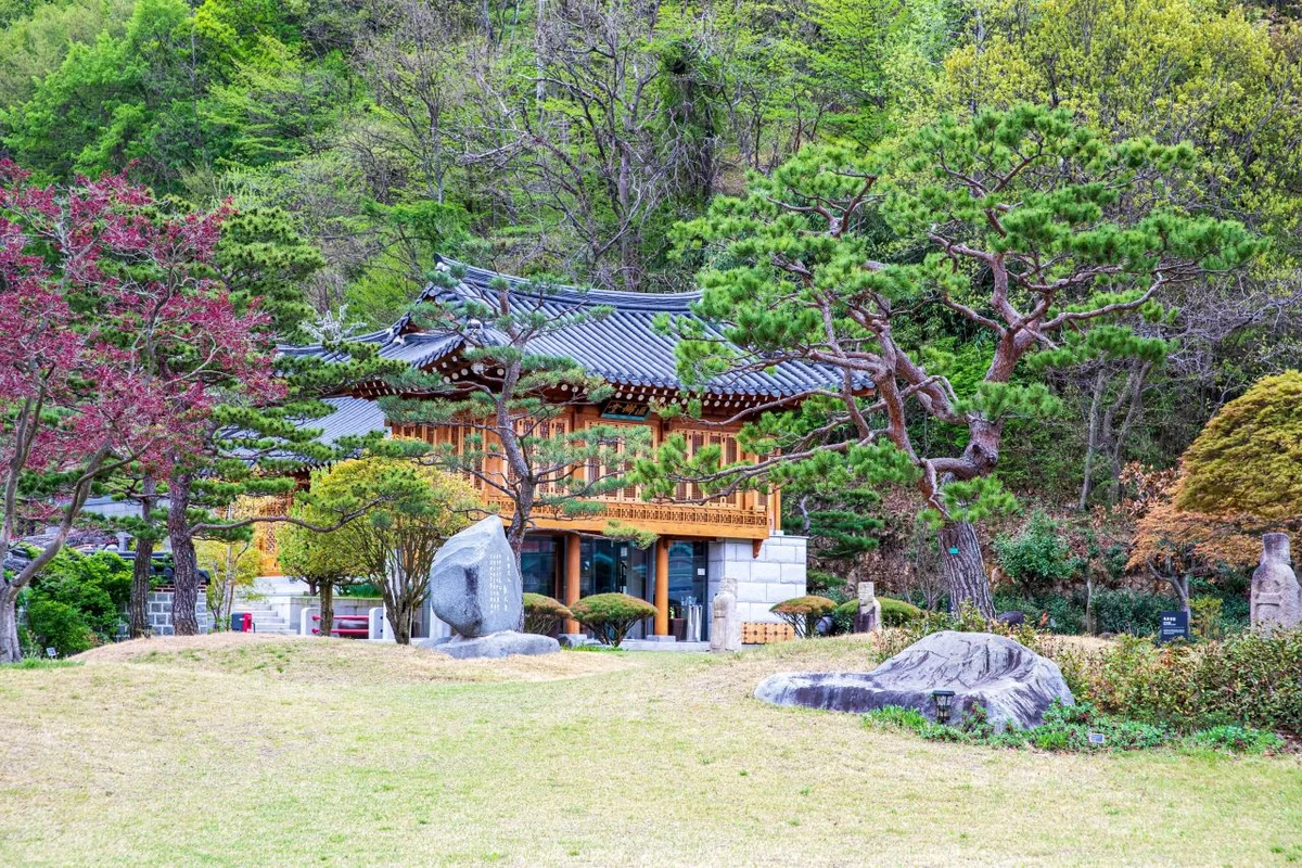 양산시 전시: 스페이스나무 - 양산시전시 여행