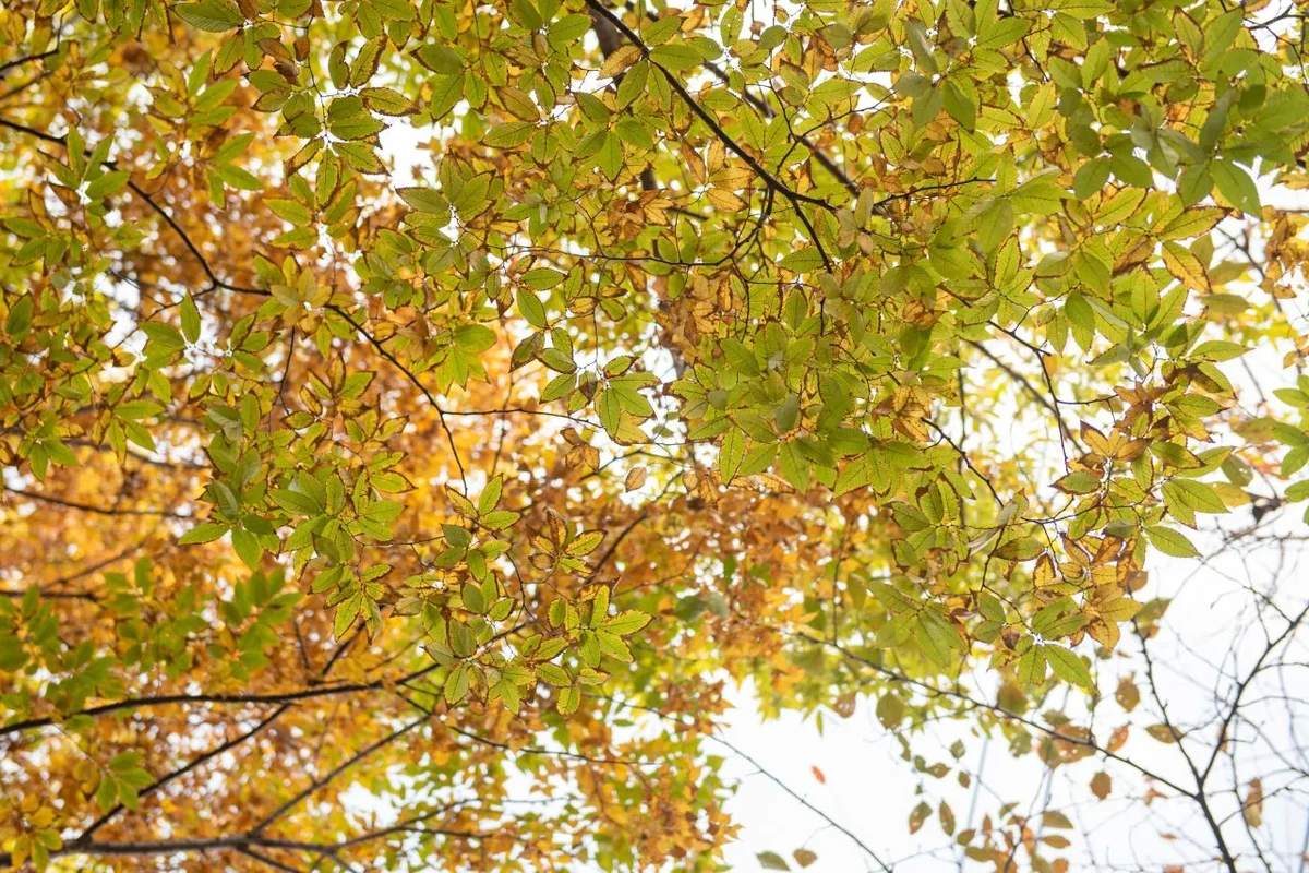 연제 단체 여행 (출처 : 한국관광공사)