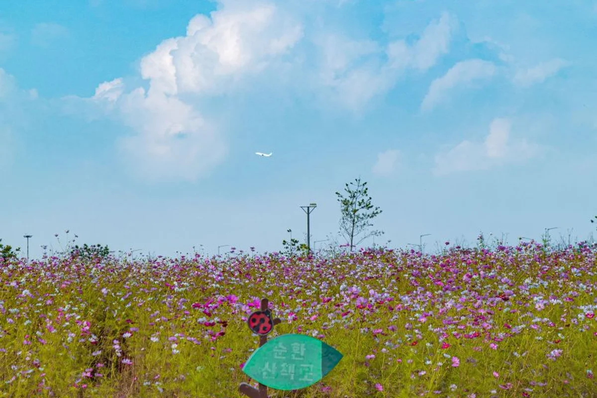 계양구 산책 (출처 : 한국관광공사)