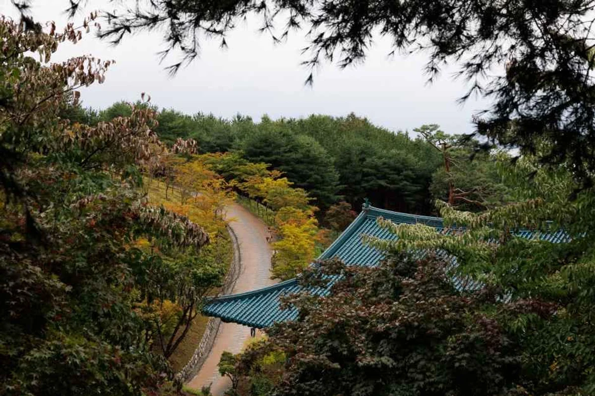 대학로 마로니에 공원 - 낙산혼자여행 여행