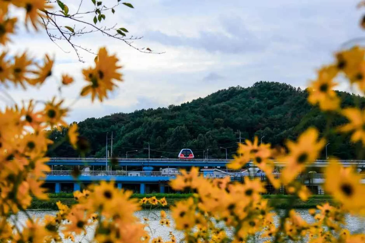 순천만국가정원봄꽃축제 - 순천만국가정원 여행