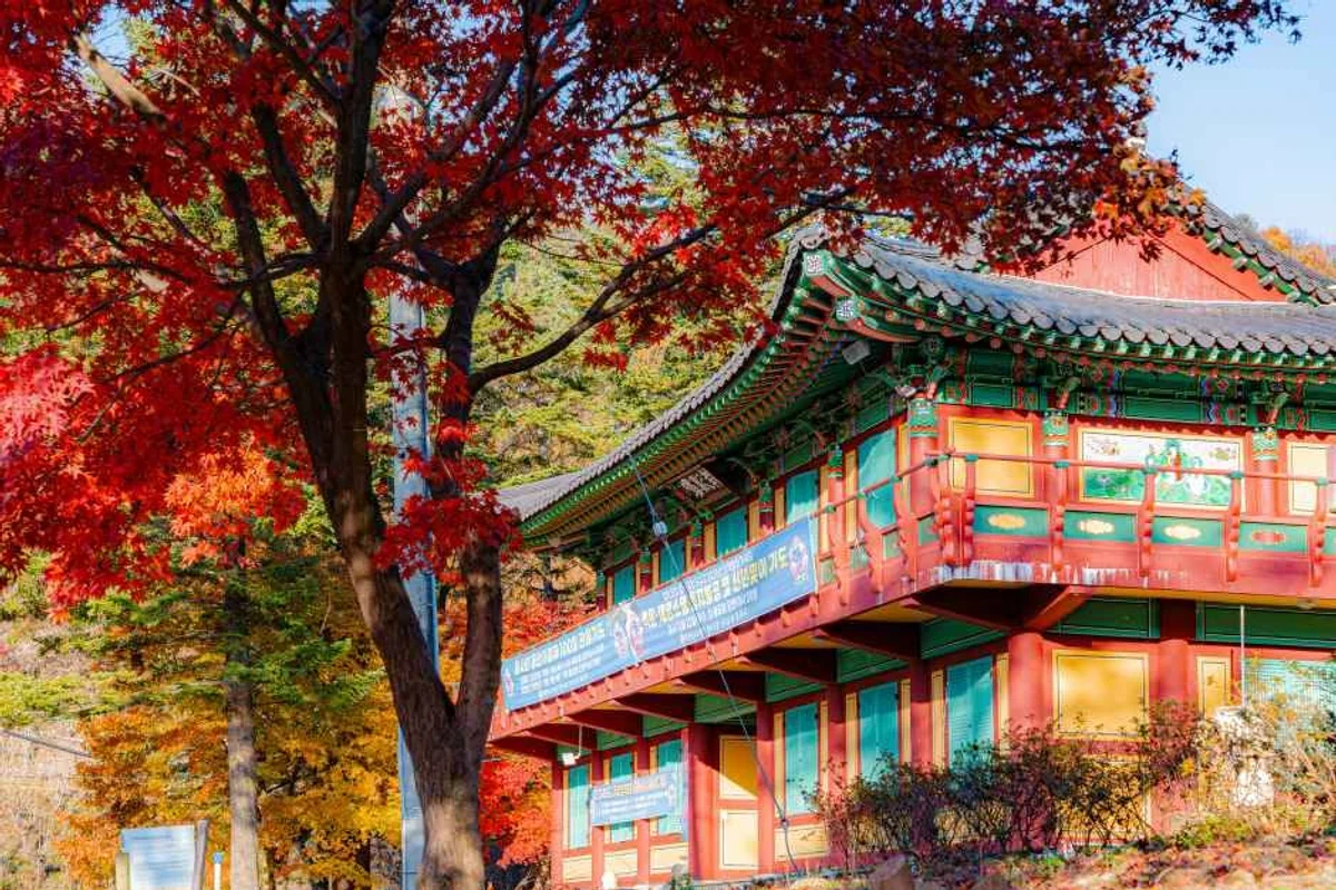 경기 글램핑 (출처 : 한국관광공사)