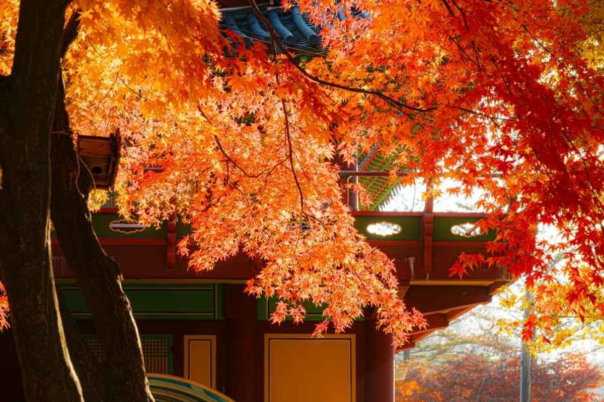 양주 아이와 함께 즐기는 가나아트파크 - 양주가볼만한곳 여행