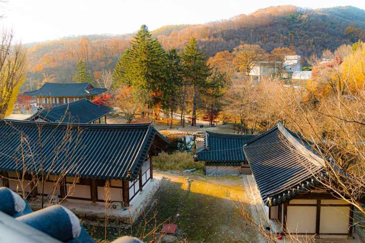 아쿠아플라넷 일산 - 경기 가족여행 여행