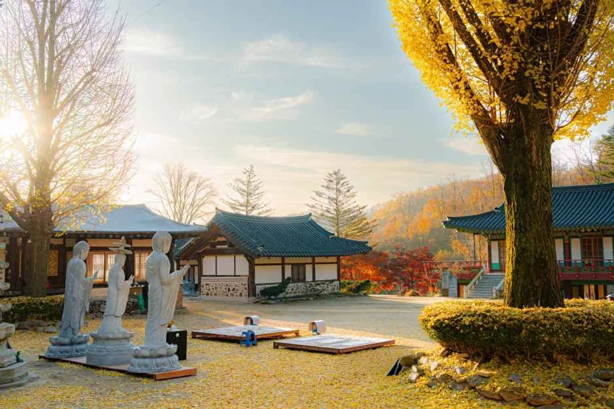 글램파크 글램핑 카라반 - 경기글램핑 여행