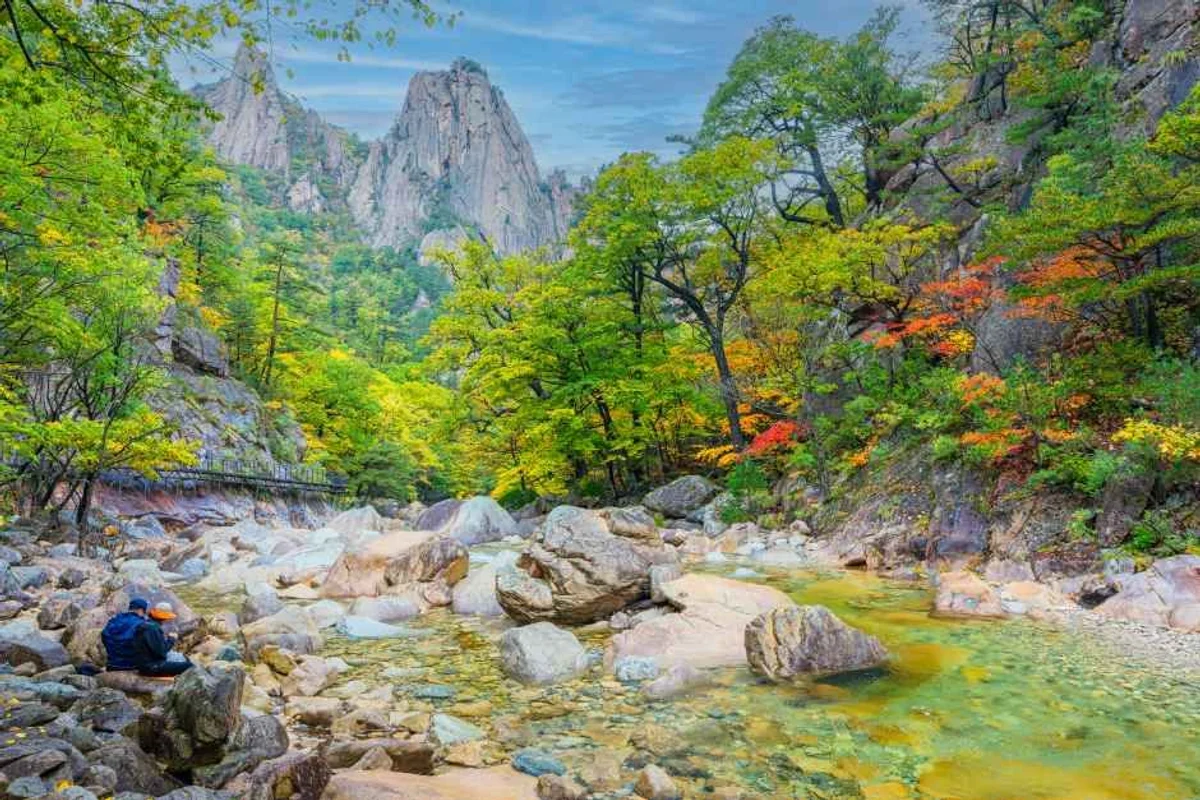 속초시 펜션 더블유스파풀빌라 - 속초여행 여행