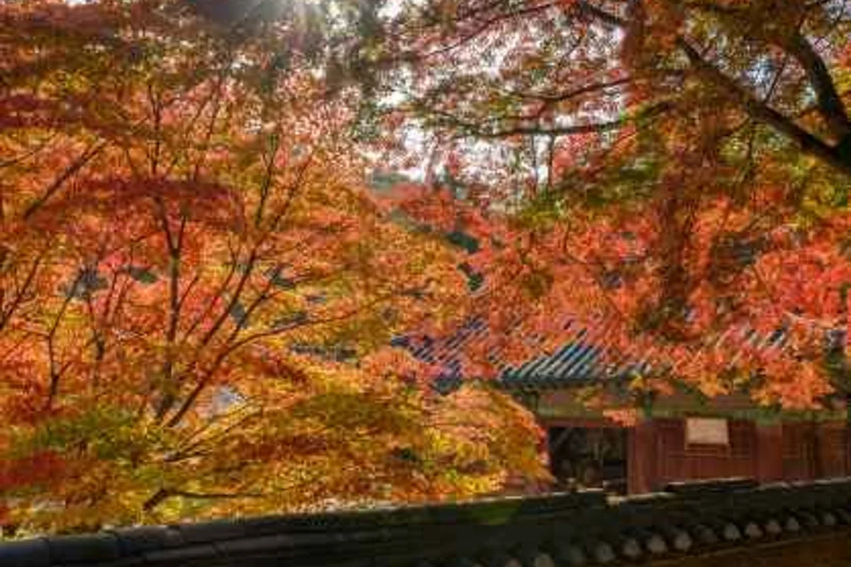 무광산사 - 반월당 여행