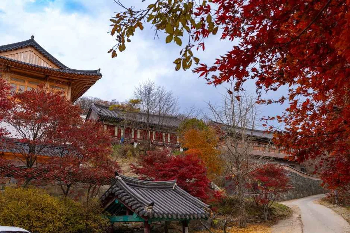 안국사 – 고즈넉한 산사의 평화 - 덕유산 여행
