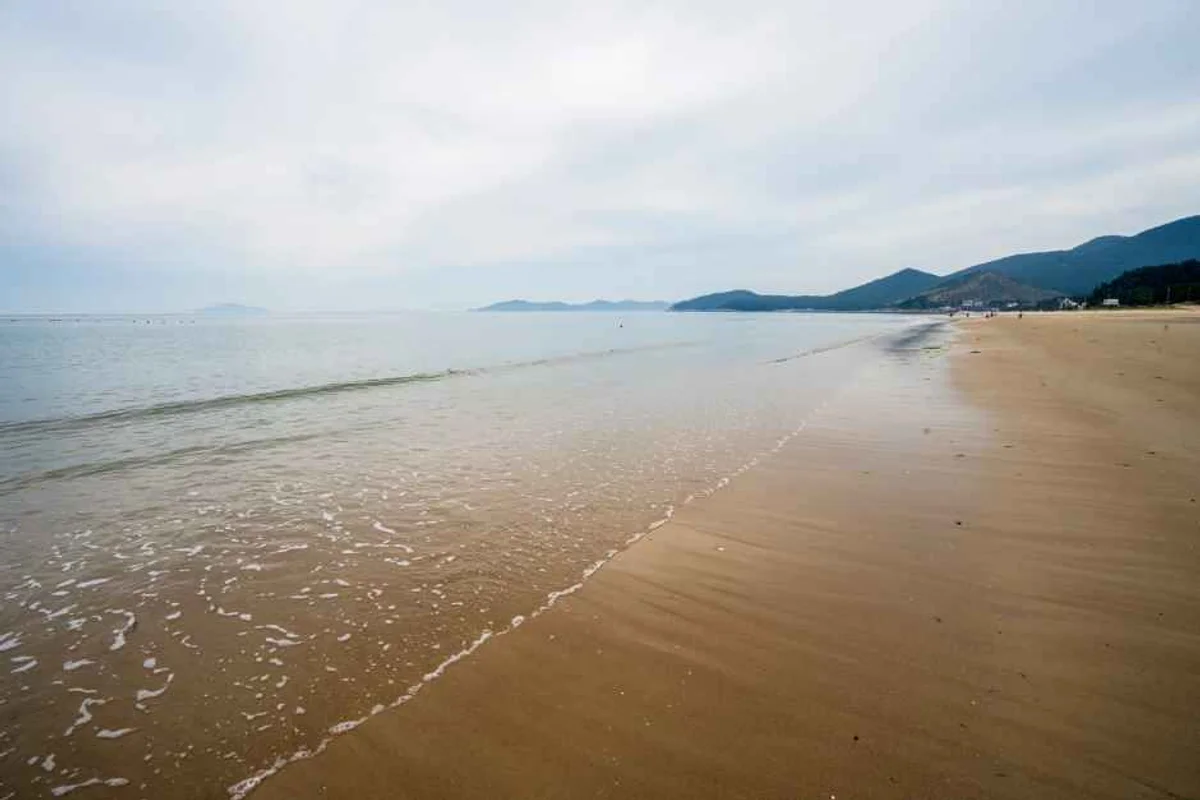 완도군 아쿠아리움: 자연이 선사하는 살아있는 바다 - 완도여행 여행