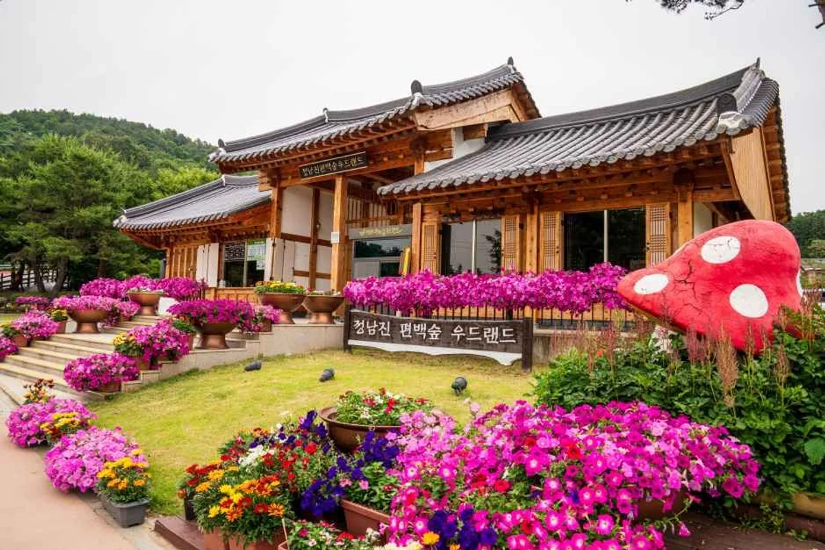 장흥126타워 - 장흥여행 여행