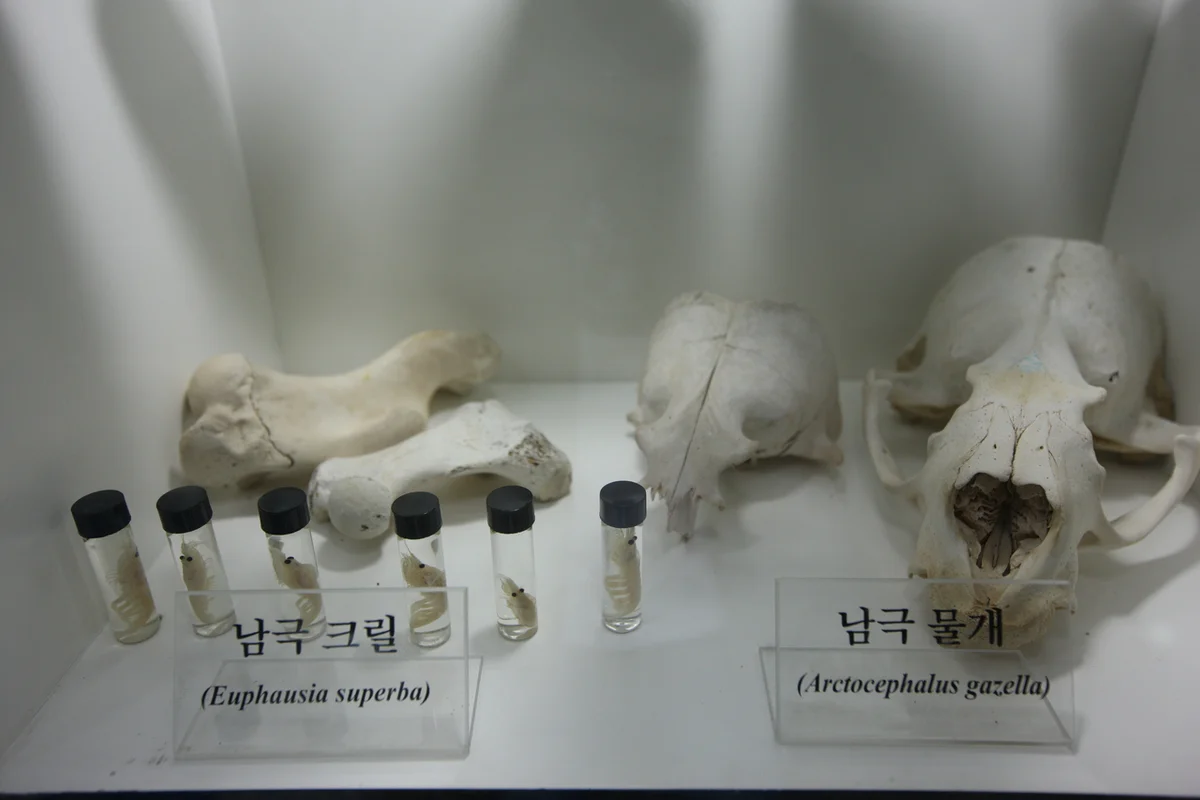 송도달빛축제공원 - 송도여행 여행
