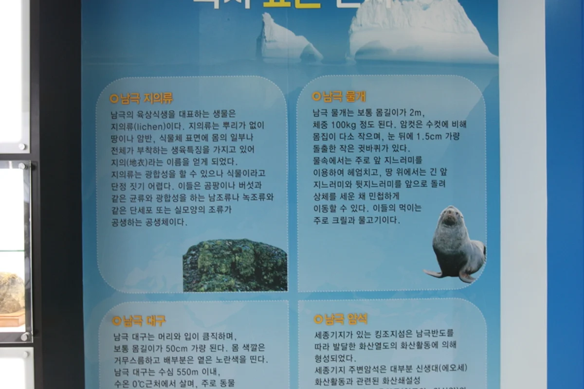 국립세계문자박물관 - 송도여행 여행