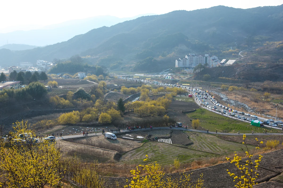 구례산수유마을, 부모님 모시고 걷기 좋은 길 - 구례여행 여행