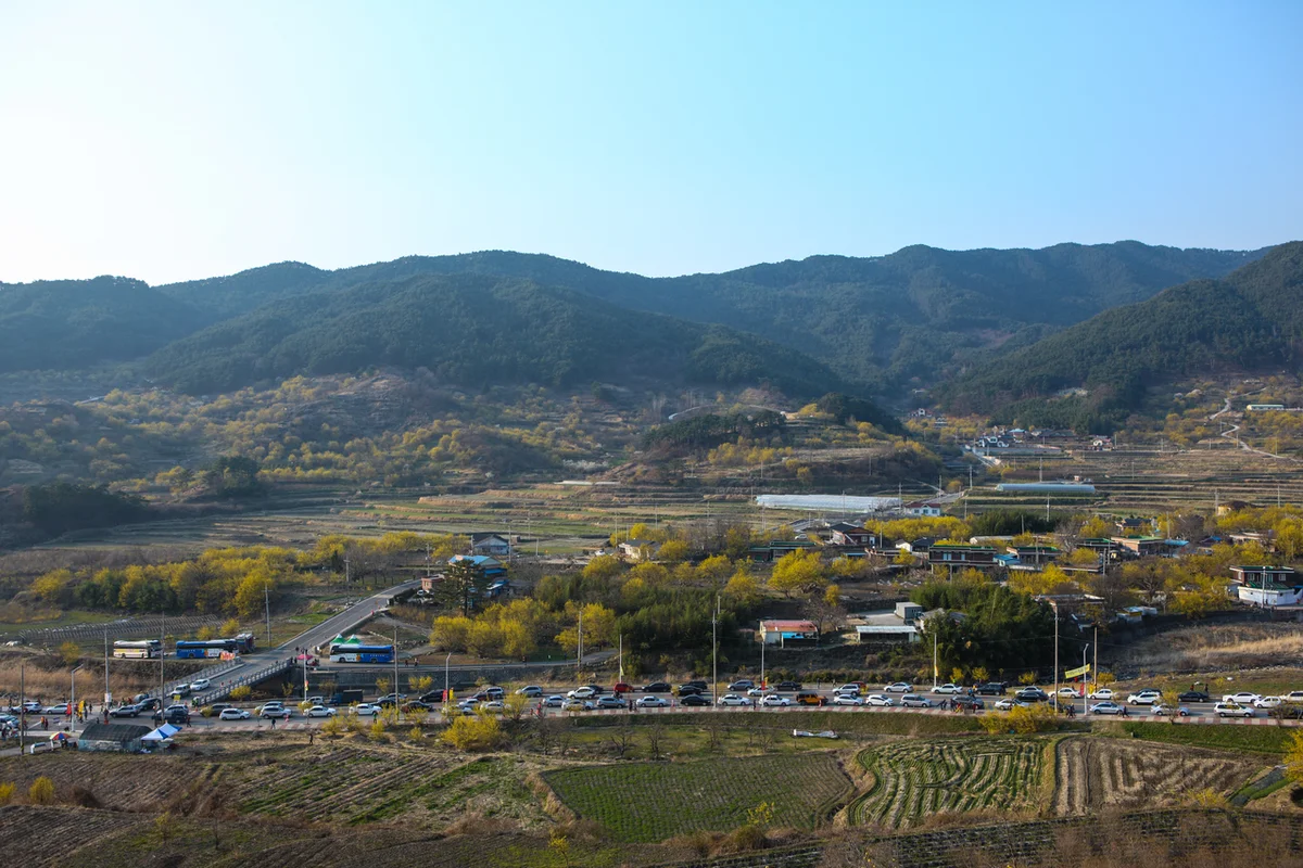 산수유사랑공원 - 구례여행 여행