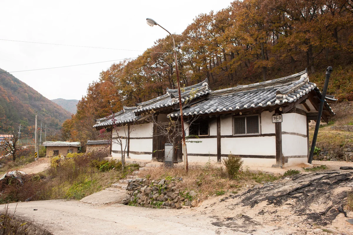황금대추농장 - 대정식물원 여행