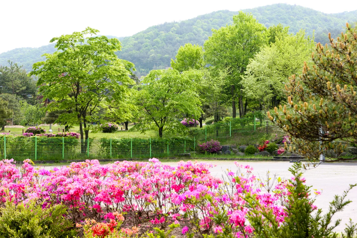 미동산수목원 - 청주시 여행