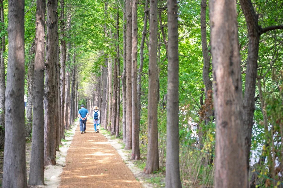 해운대수목원 덩굴식물원 - 해운대수목원 여행
