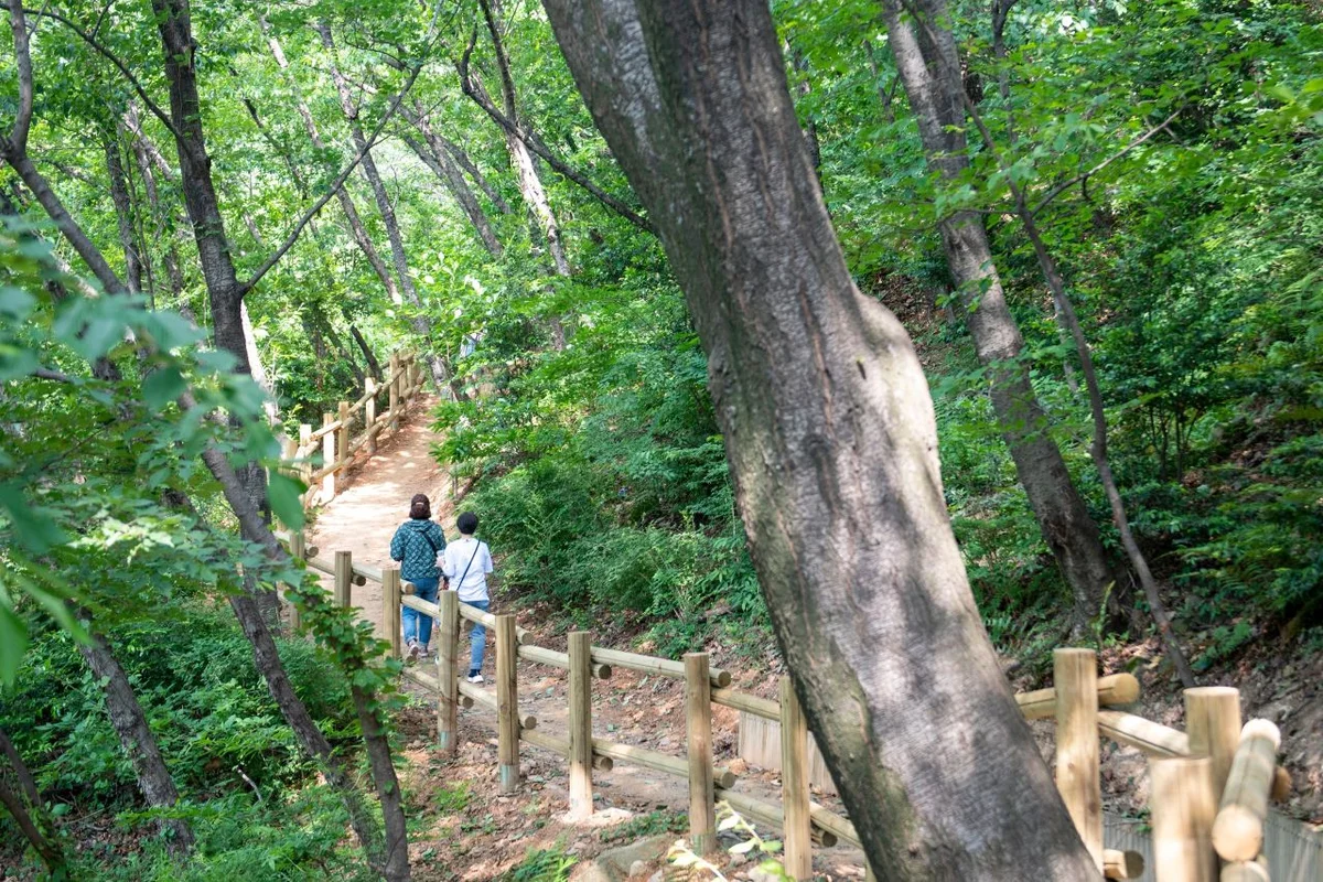 해운대수목원 야생화원 - 해운대수목원 여행