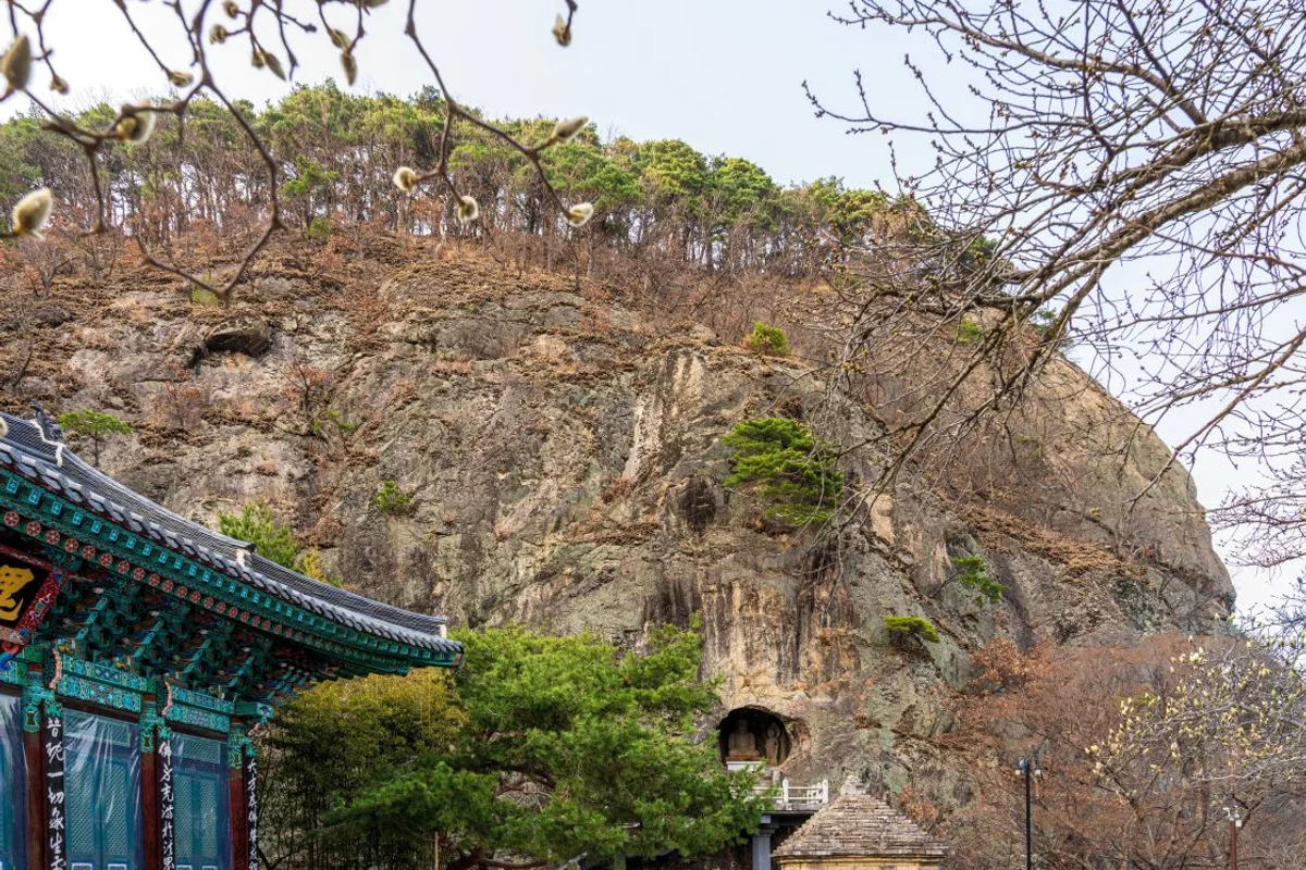 영화 속 힐링 공간, 리틀 포레스트 촬영지 - 군위골프 여행