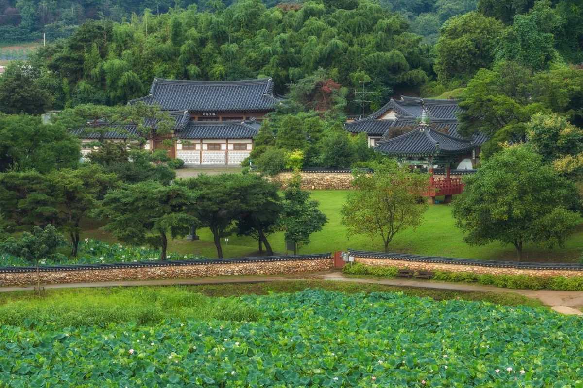 파라다이브 - 시흥여행 여행